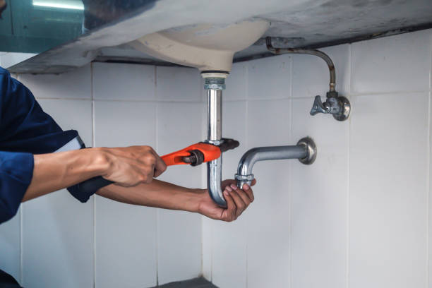 Best Same-Day Plumbing Service  in Antioch, IL