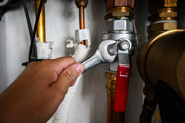 Best Same-Day Plumbing Service  in Antioch, IL